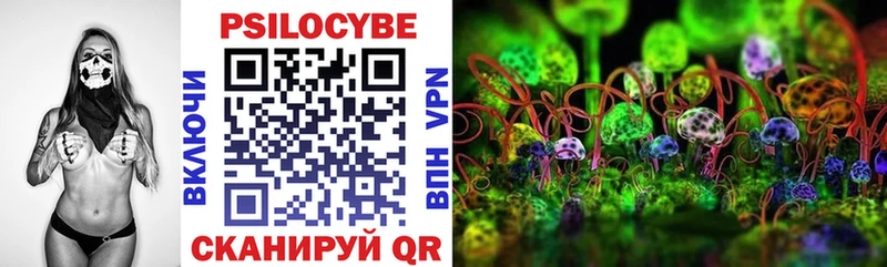 Купить закладки  Каргат  Псилоцибиновые грибы прущие грибы 